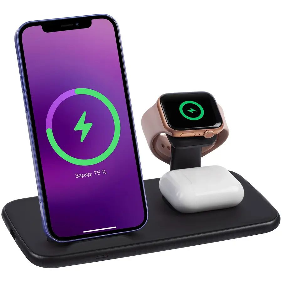 Зарядная станция Smart Nest, черная — фото 1