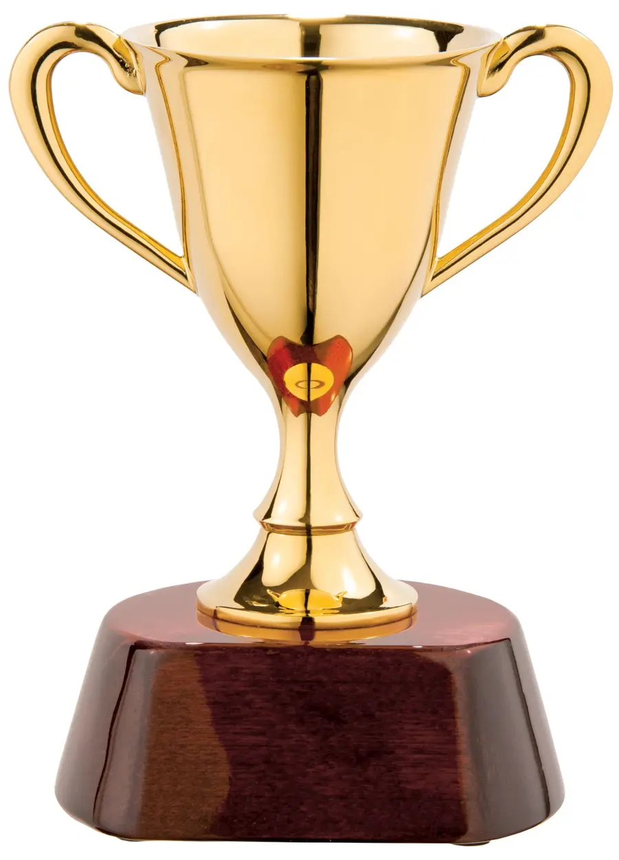 Награда «Кубок» — фото 1