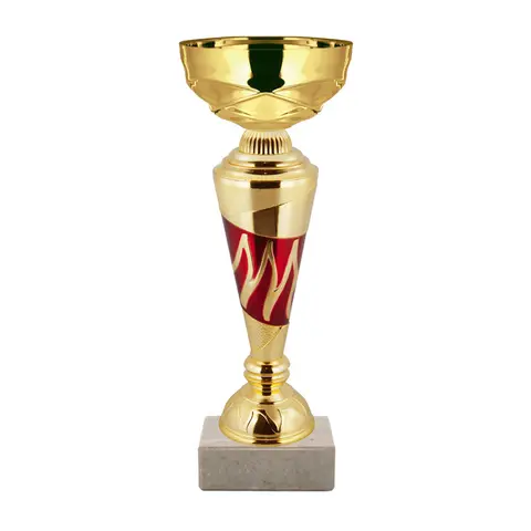 Кубок Champion, высота 23 см.